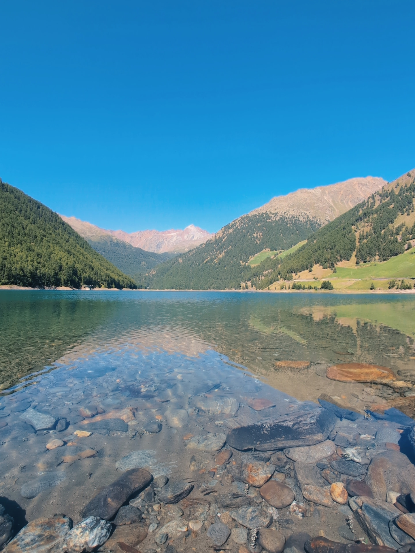 Copertina della guida gratuita: Alto Adige